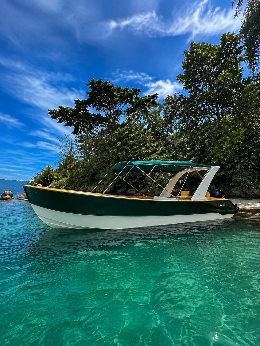 Fênix Boat
